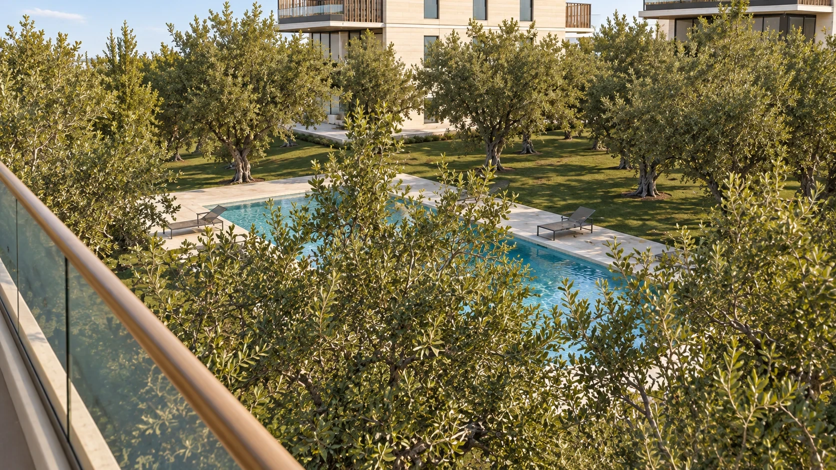 Piscina comunitaria entre olivos
